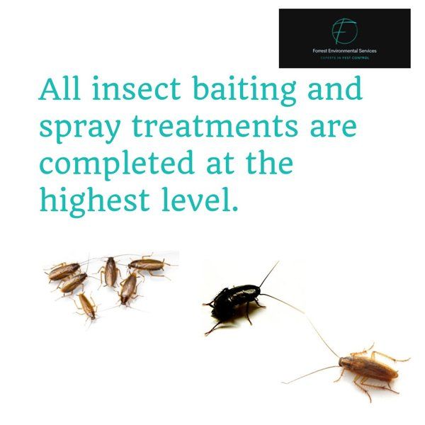 Vertebrate pests Stevenage Forrest Environmental Services