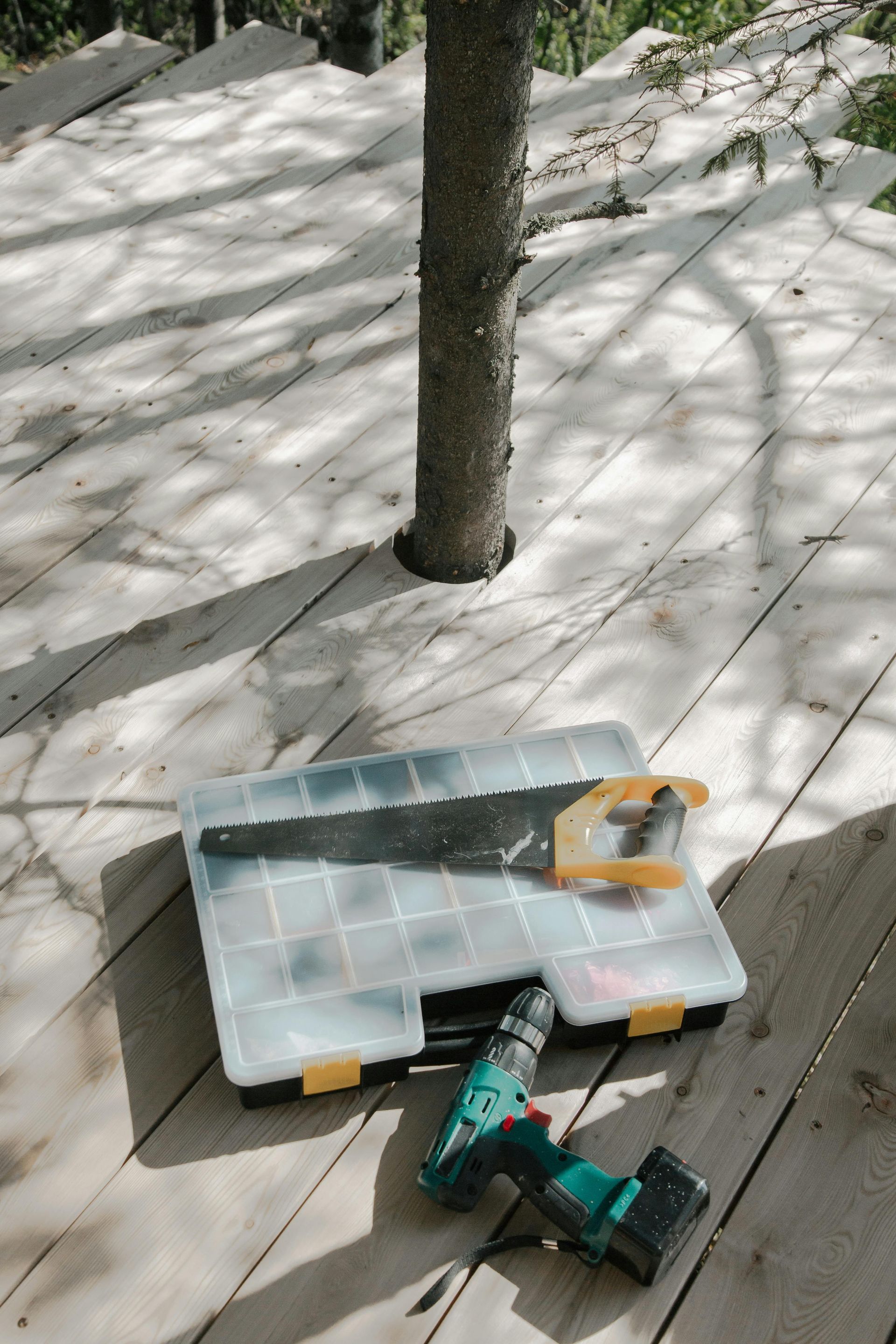 Saw, drill, and tool case on a wooden deck, surrounding a tree trunk. Sunny outdoor setting.