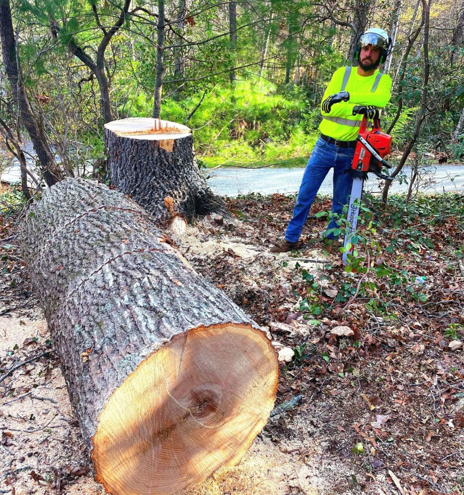 Man in safety gear with chainsaw; felled tree log in wooded area.