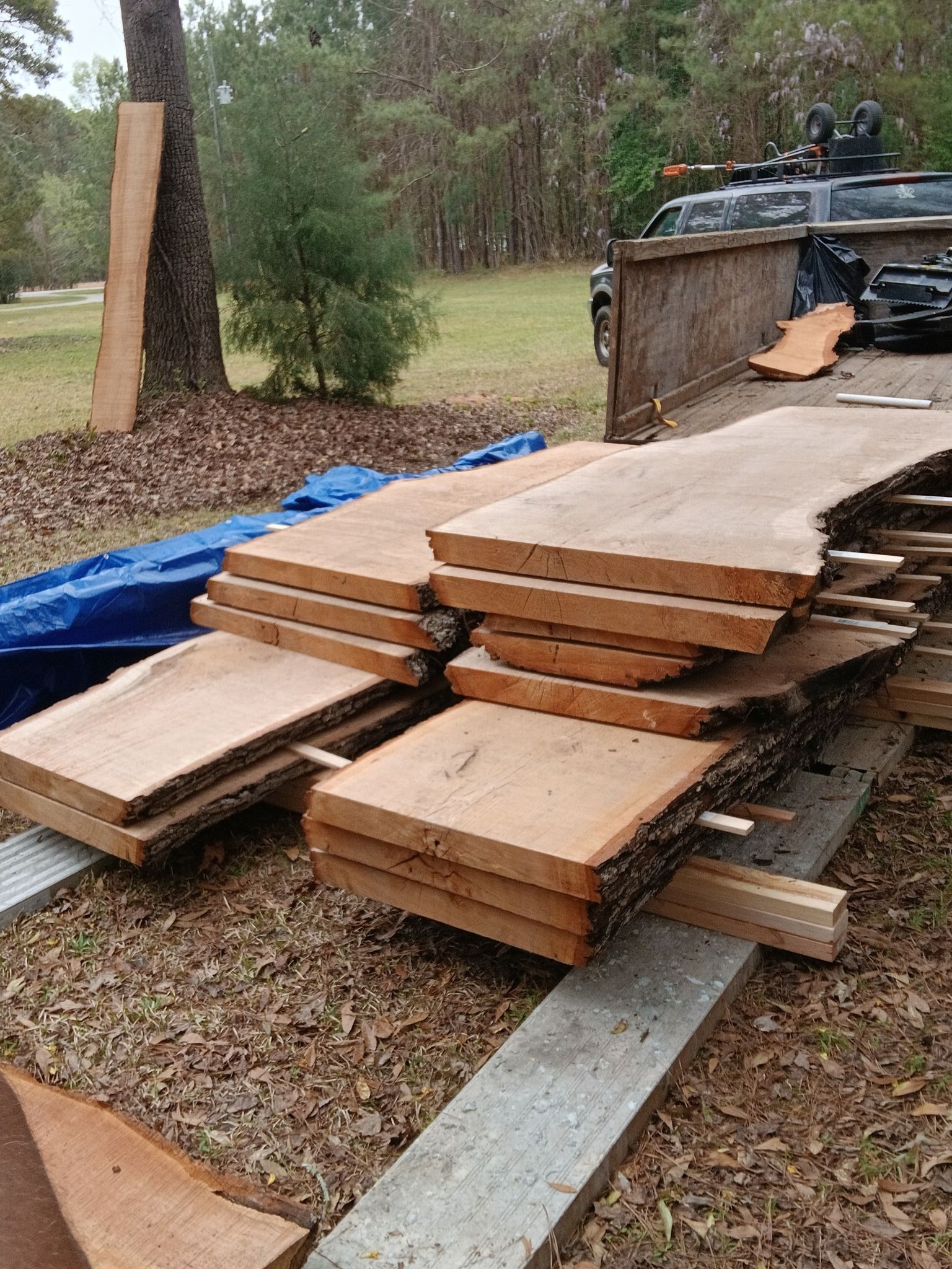 Stack of rough-cut lumber with live edges, stacked outdoors on concrete blocks, a truck and woods visible in background.