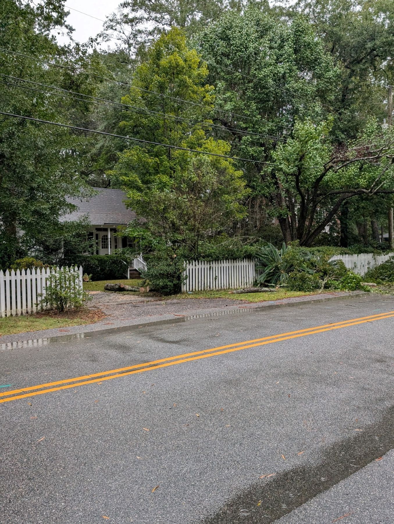 A small, white-sided house behind a white picket fence, surrounded by trees and bushes, on a wet asphalt road.