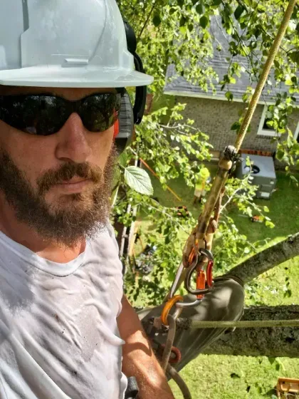 Man in hard hat and sunglasses, climbing tree, wearing safety harness, working outdoors.