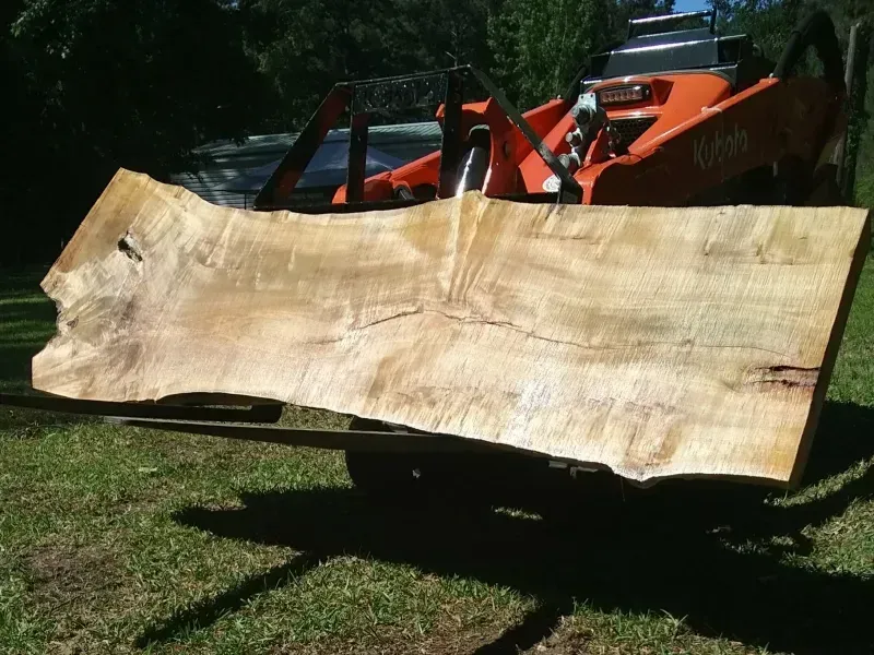 Large, light-colored wooden slab being held by a tractor-like machine on green grass, outdoors.