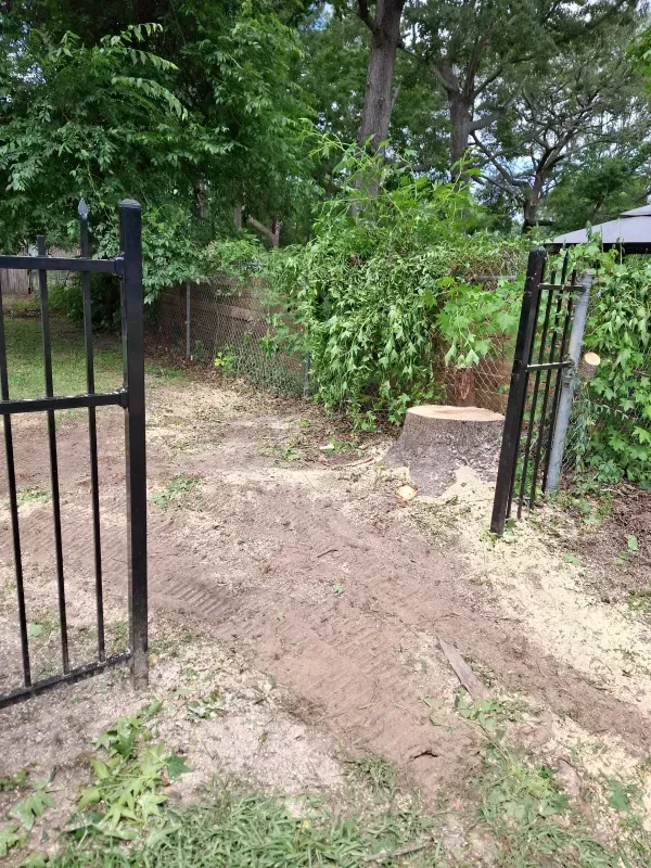 Black metal gate open, leading to a path with a tree stump, overgrown greenery, and a chain-link fence.