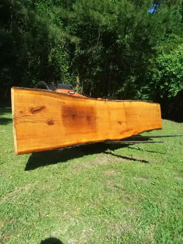 Large, rectangular, varnished wooden slab laid on green grass with a forest backdrop.