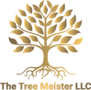 Gold tree logo with roots, branches, and leaves; text "The Tree Meister LLC" at the bottom.
