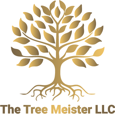 Gold tree logo with roots, branches, and leaves; text "The Tree Meister LLC" at the bottom.