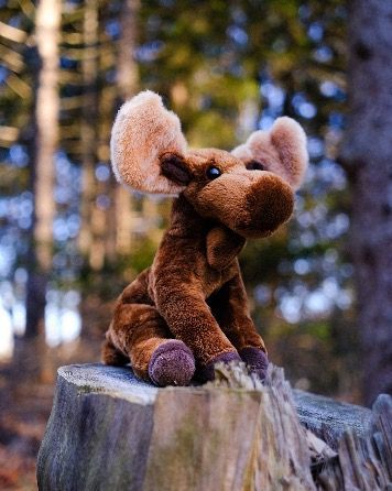 Douglas Toy Plush Moose
