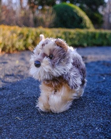 Douglas Toy Plush Yorkie
