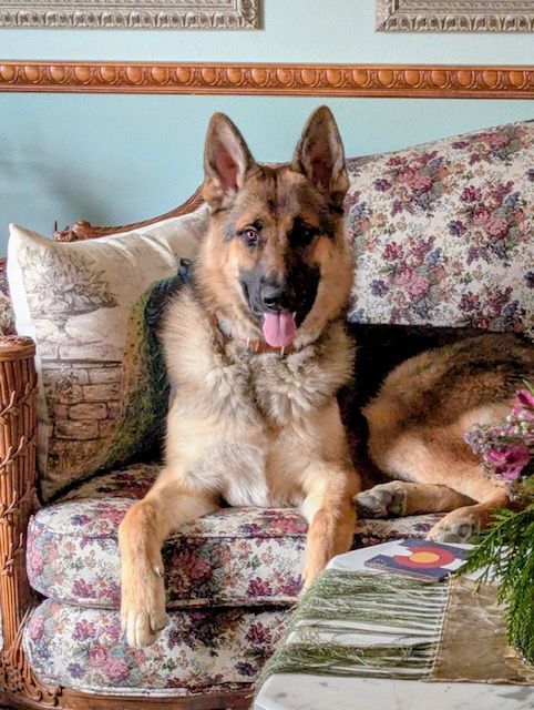 Kaiser - Security for Cambridge Sales Inc