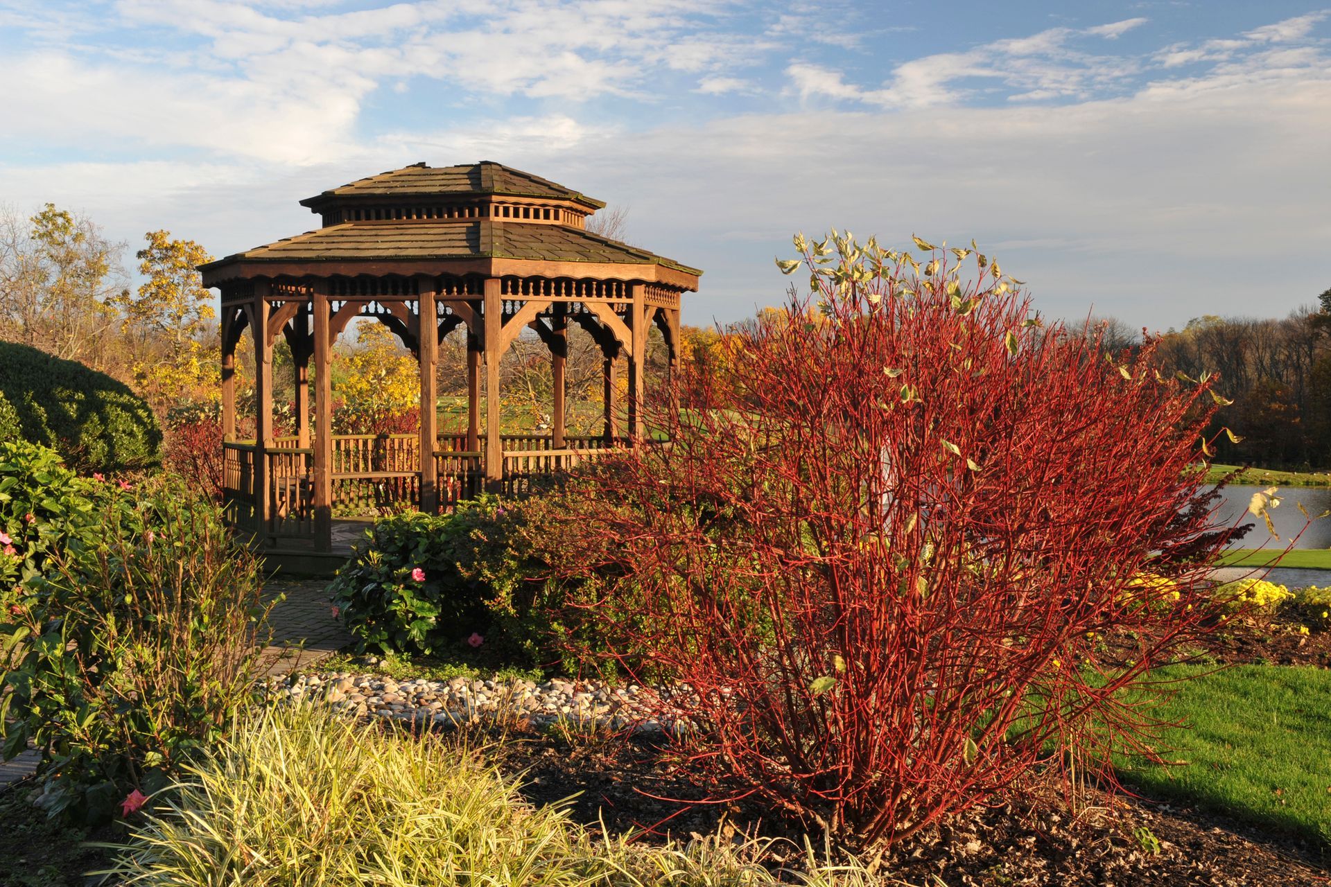 a close up of a door handle in an empty room .
