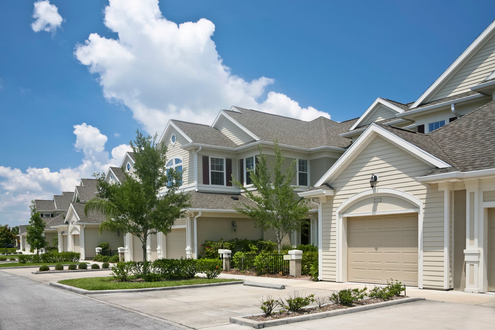 a man and a woman are walking down a city street holding hands .