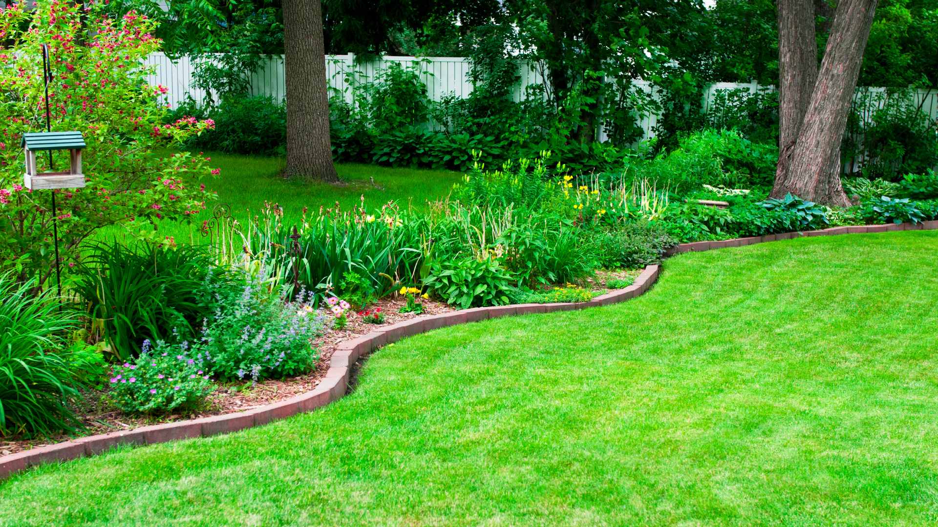 Green lawn with a curved flower bed border and lush plantings.