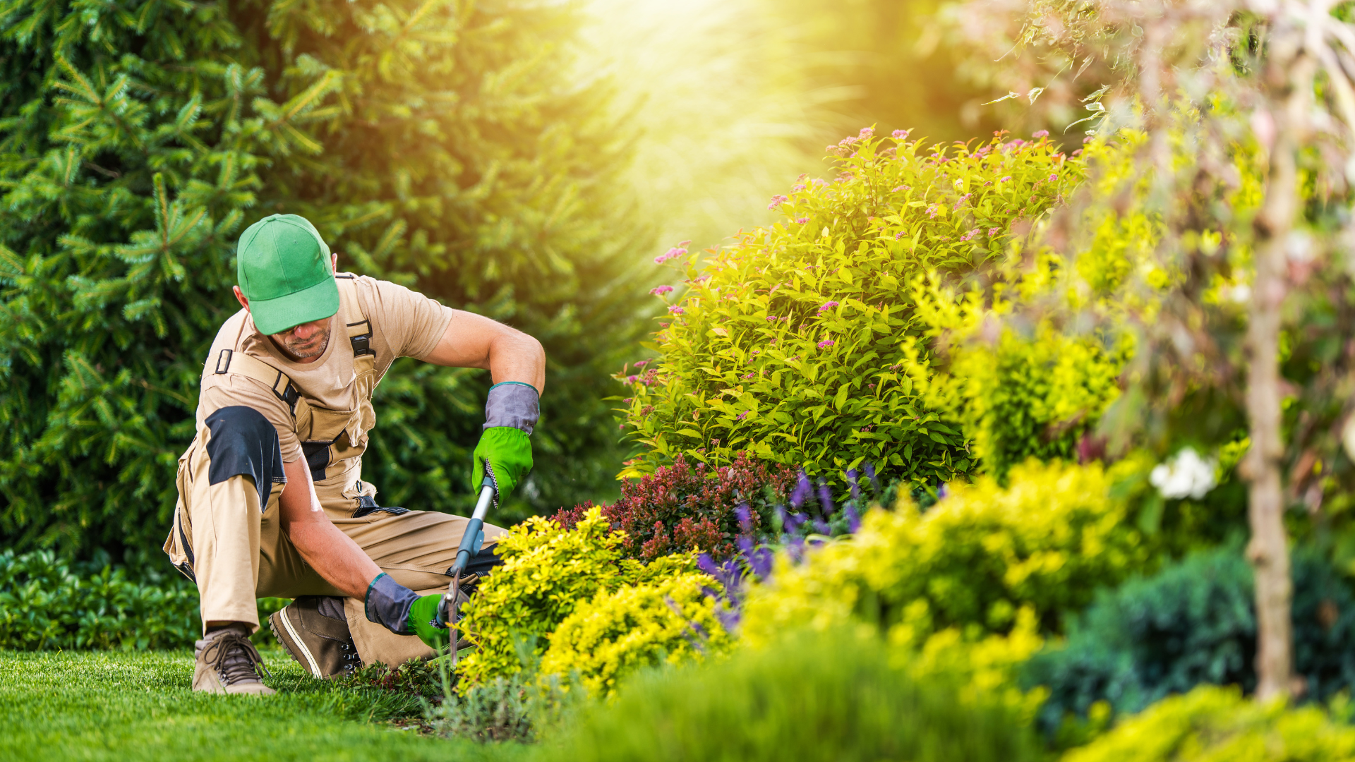 Gardener kneeling, trimming colorful flowers in a sunny garden, wearing gloves and a green hat.