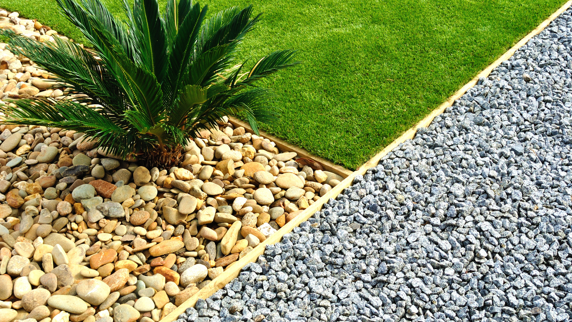 A landscape border with a palm, grass, and gravel.