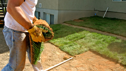 Man laying sod in yard; holding rolled grass, wearing gloves. Brown dirt, green grass, building in background.