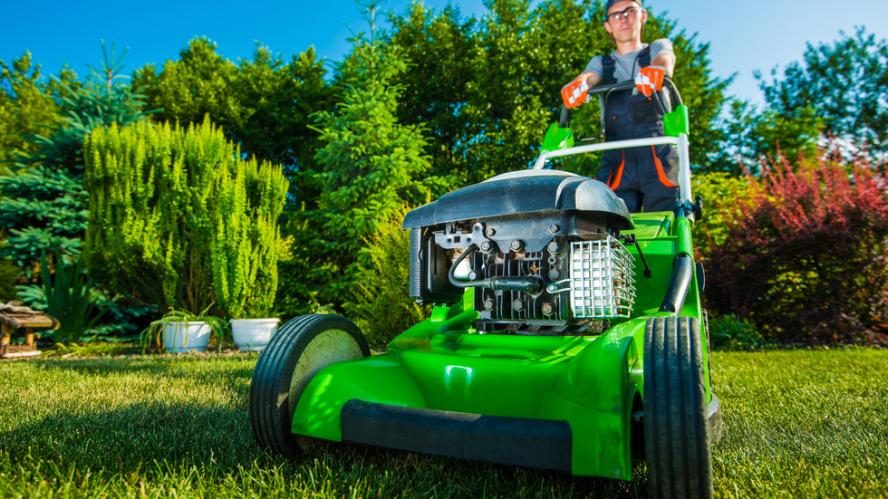 Person mowing a green lawn with a green lawnmower in a sunny backyard with trees.