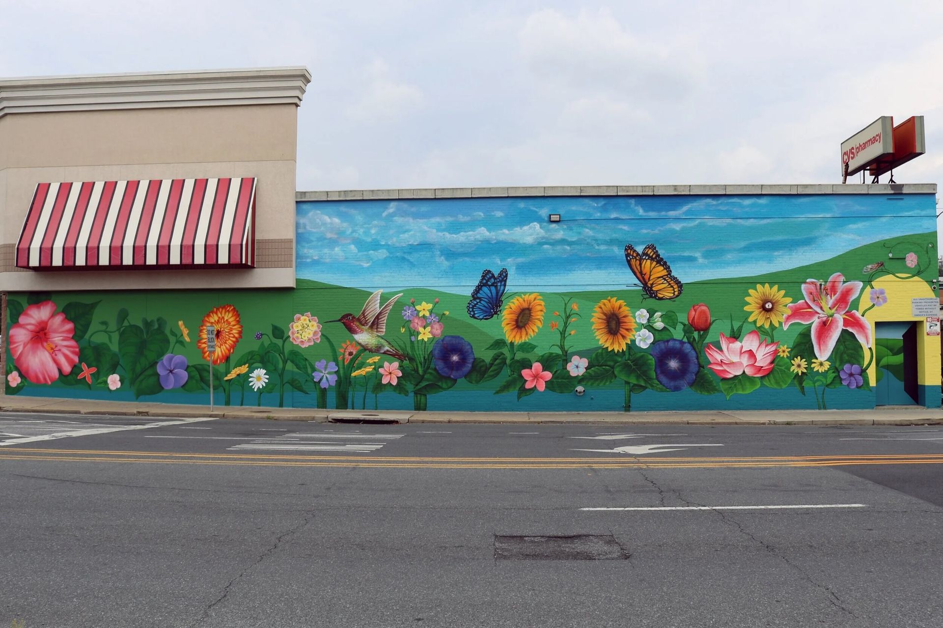 Mural Art Painting in Washington, DC