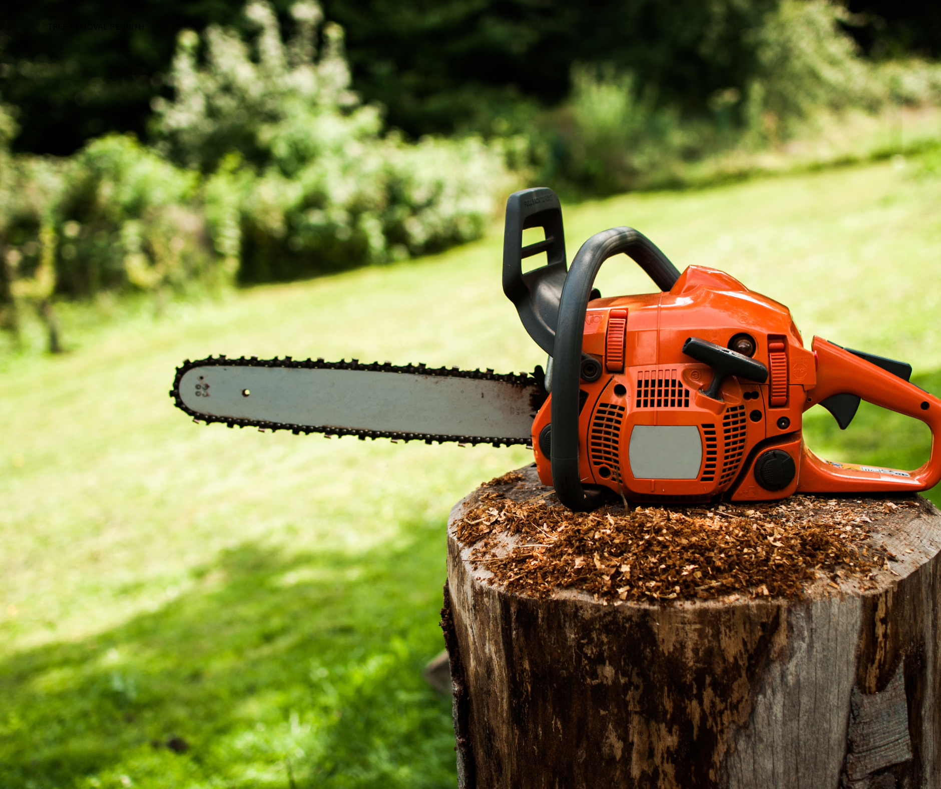 TREE REMOVAL PENRITH