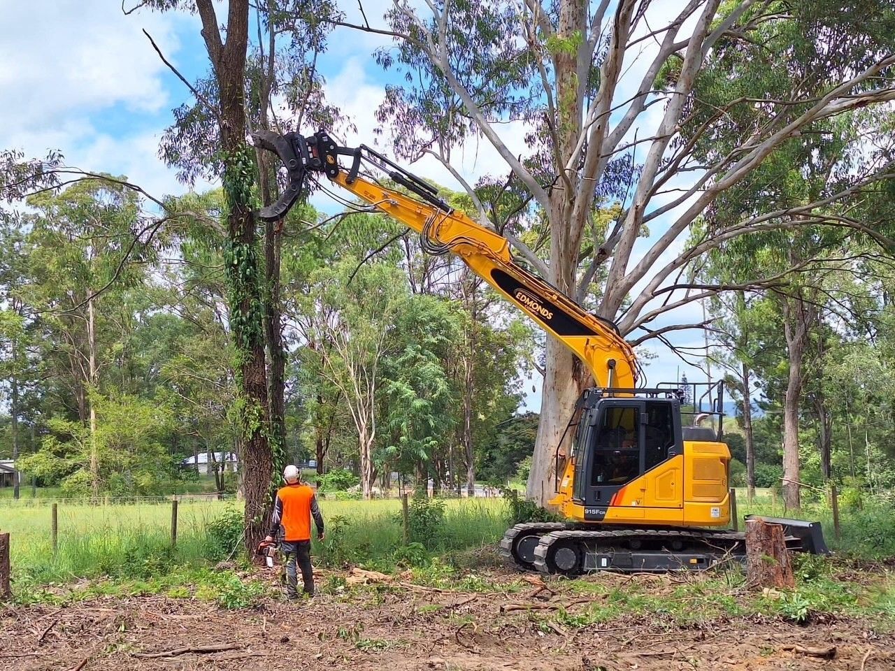 Commercial tree removal sydney