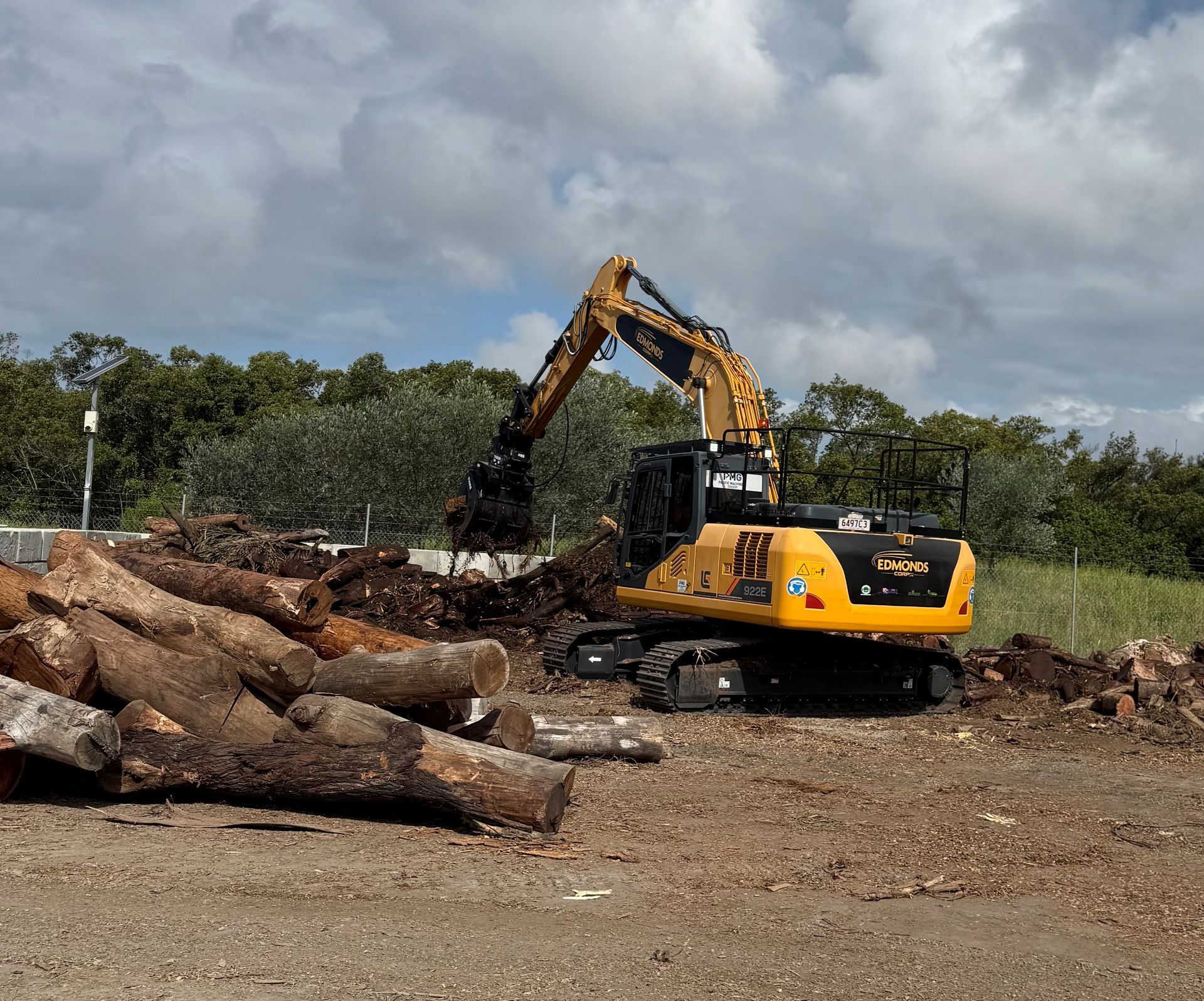 tree removal westmead