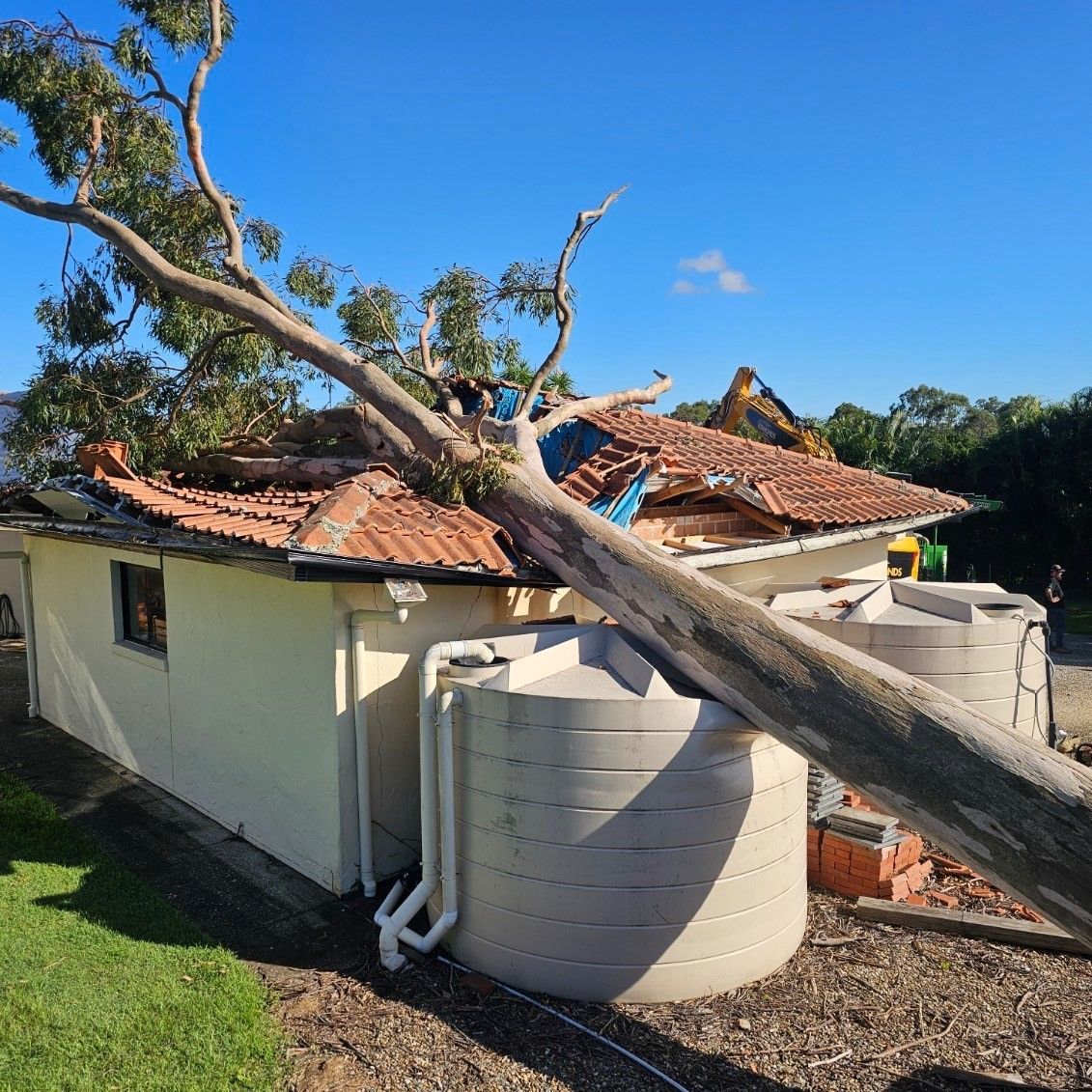 tree fallen on house roof in sydney