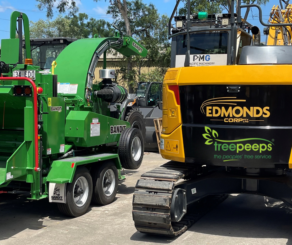 Tree Stump Removal Sydney