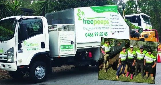 tree loppers guildford