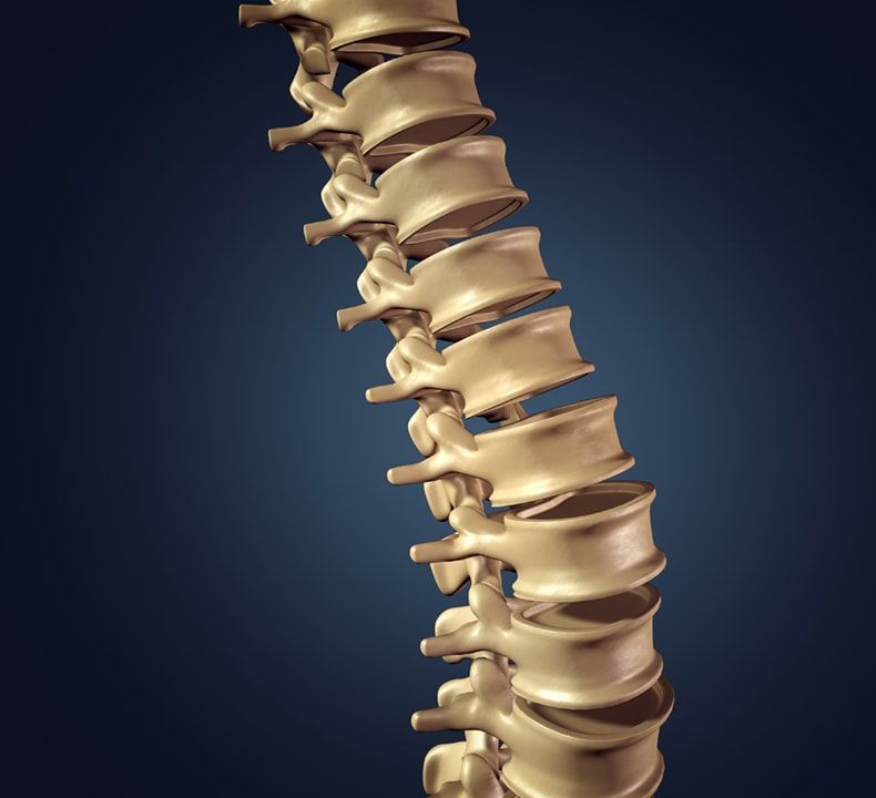 A Spine