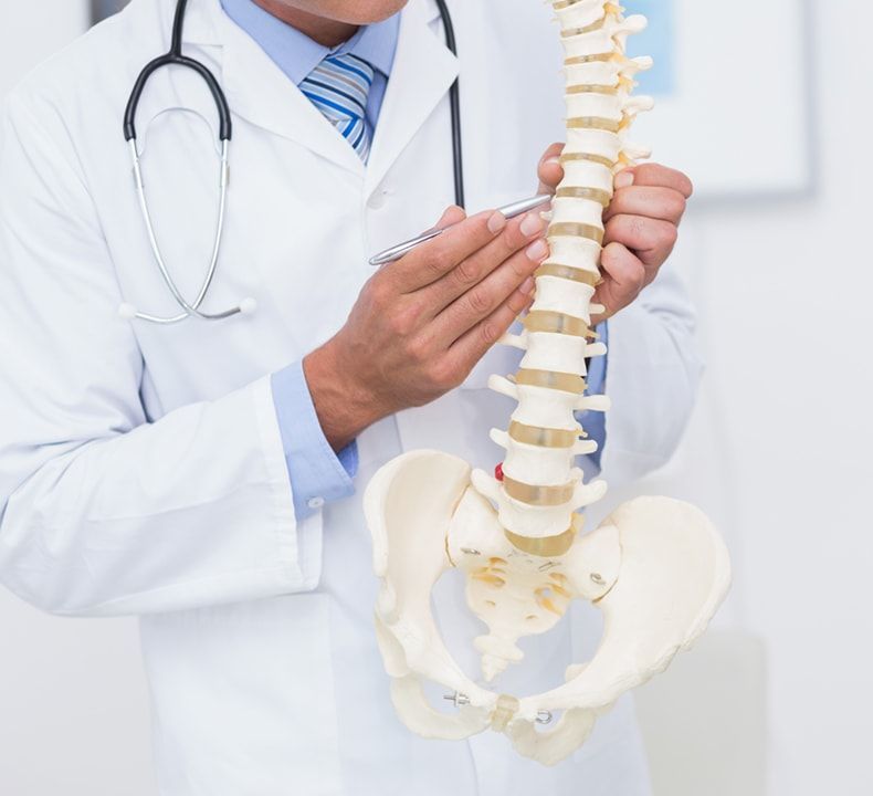 Doctor Explaining Something About Spine