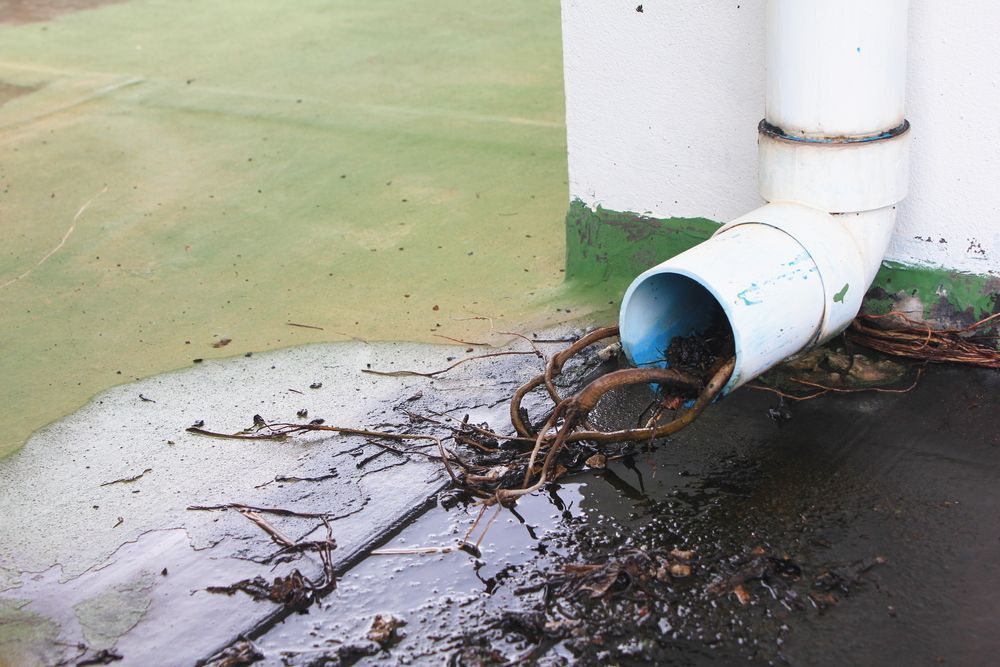 Clogged Drain Pipe Spewing Water and Debris — Tyzac Group in Logan, QLD