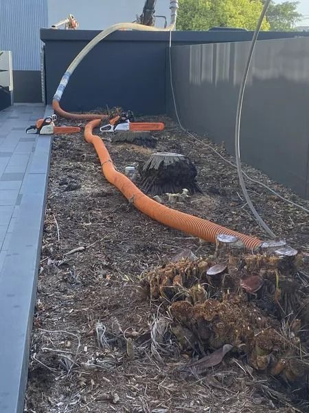 An Orange Hose Sucks Debris From a Tree Stump in a Garden — Tyzac Group in Beerwah, QLD