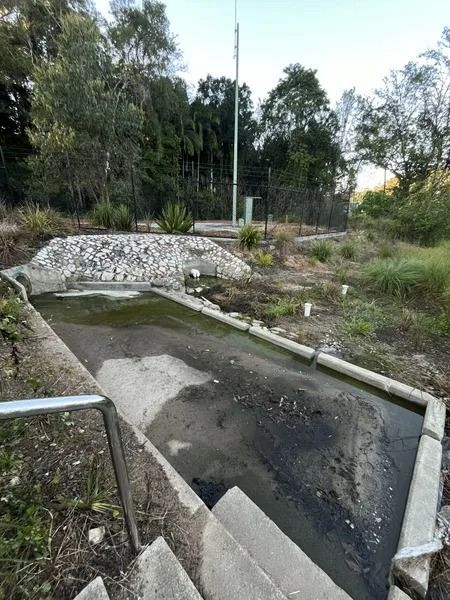 Concrete Basin With Stagnant Water, Overgrown Vegetation — Tyzac Group in Beerwah, QLD