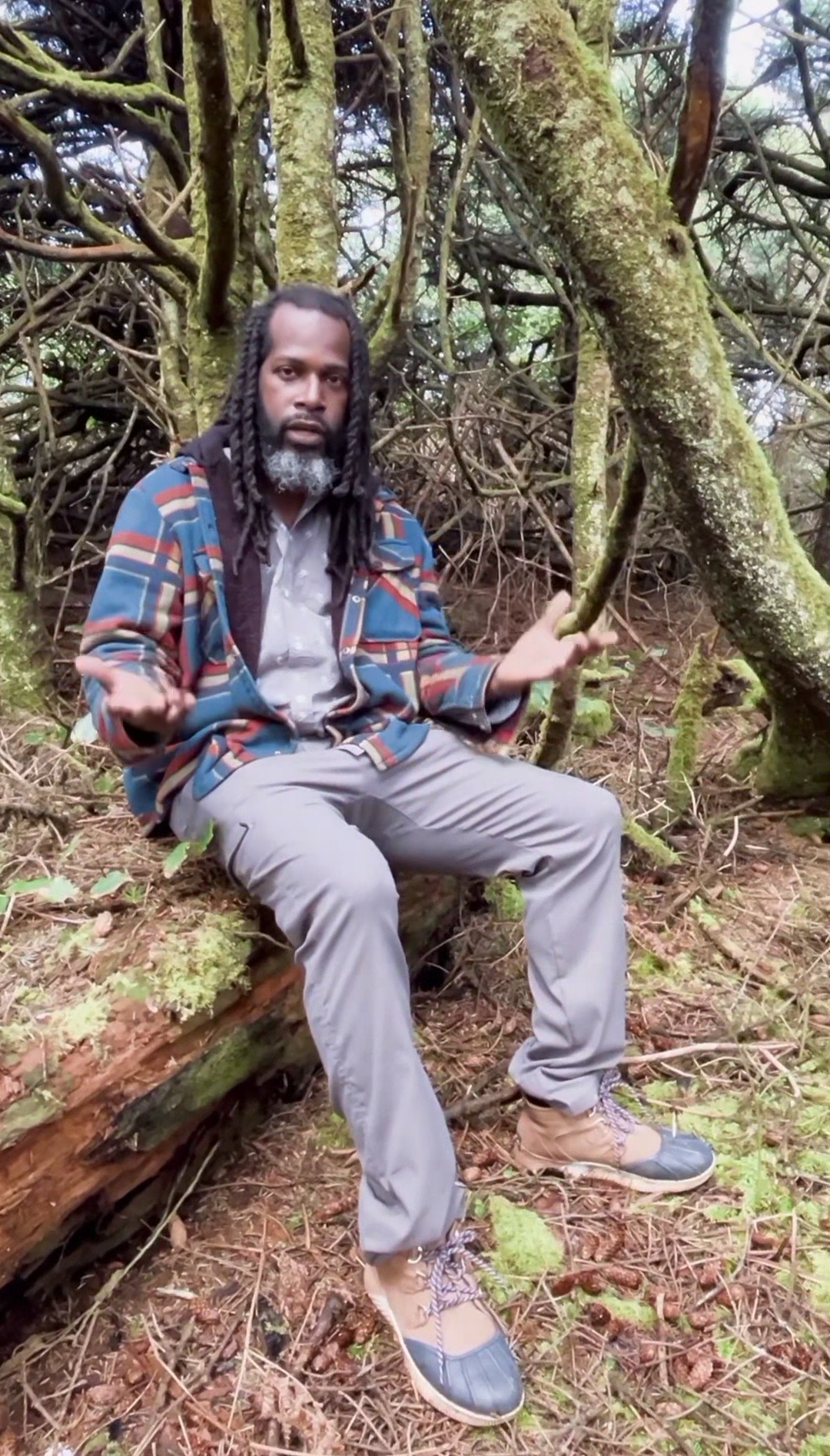 A man with dreadlocks and a beard is sitting on a log in the woods.