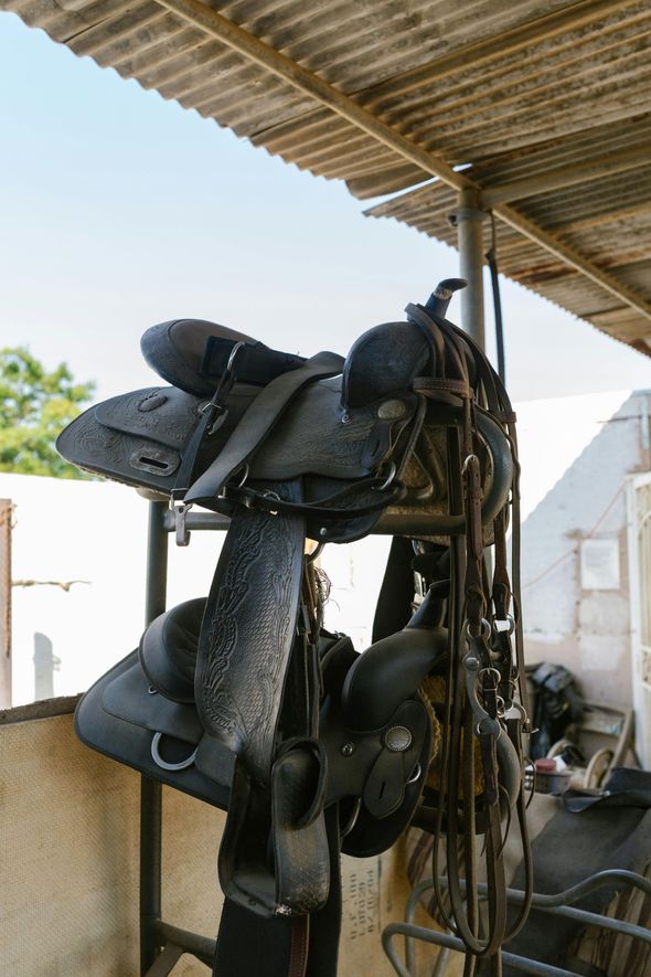 A black saddle is hanging from a metal pole