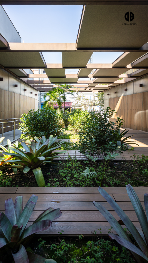 A hallway office concourse with lots of plants and trees in a building.