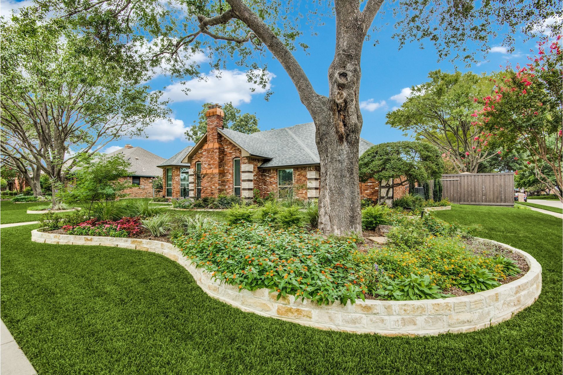 A house with a large tree in the middle of the yard.