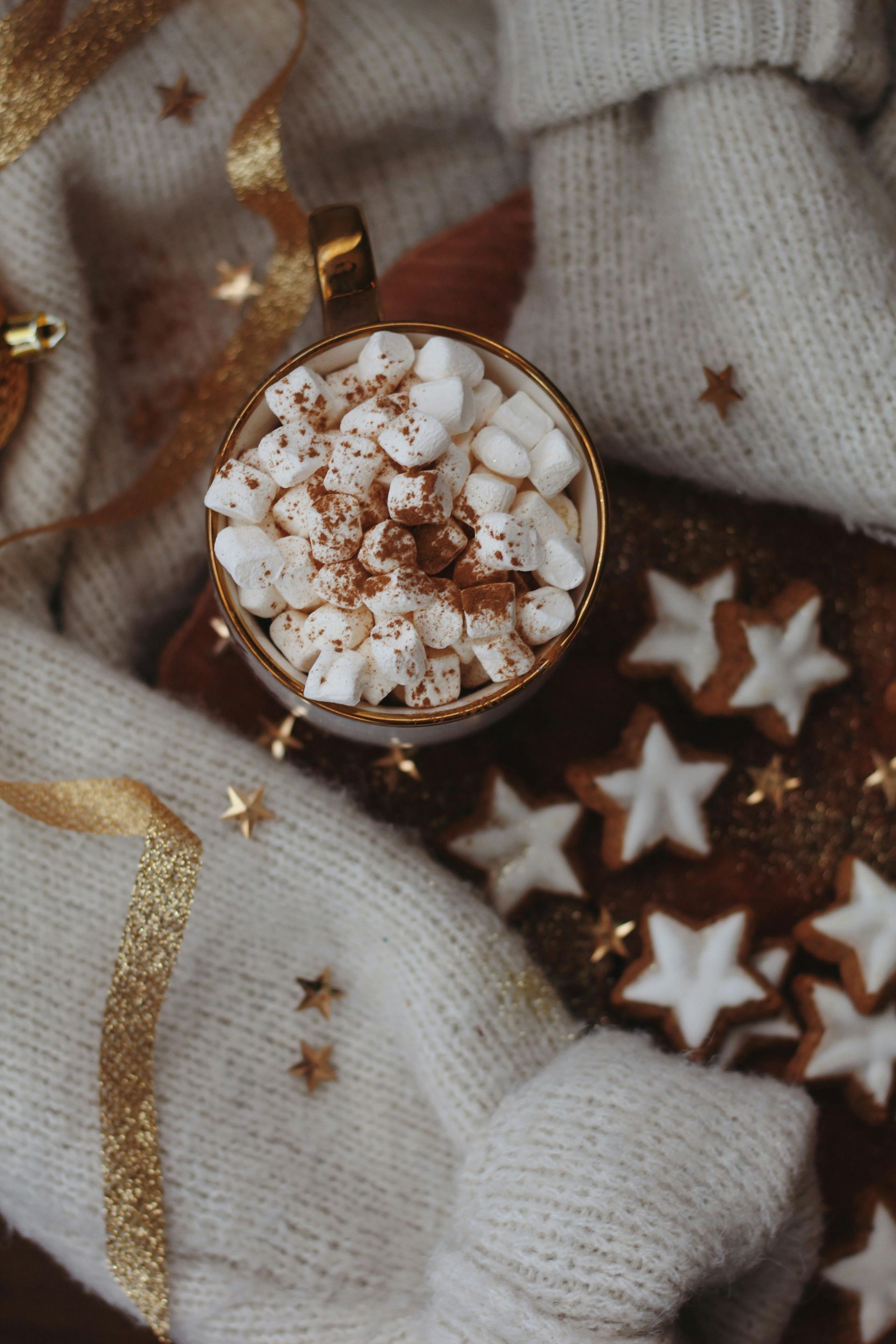 A cup of hot chocolate with marshmallows and gingerbread cookies.
