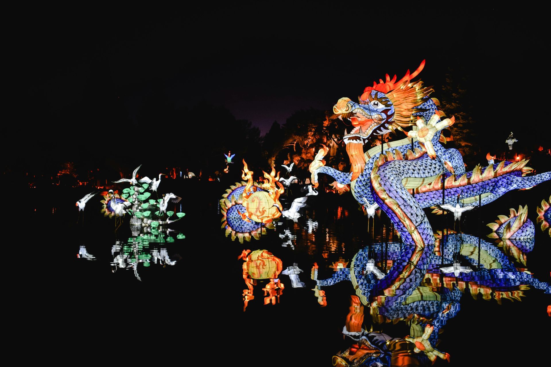 A colorful dragon is surrounded by flames and birds at night.