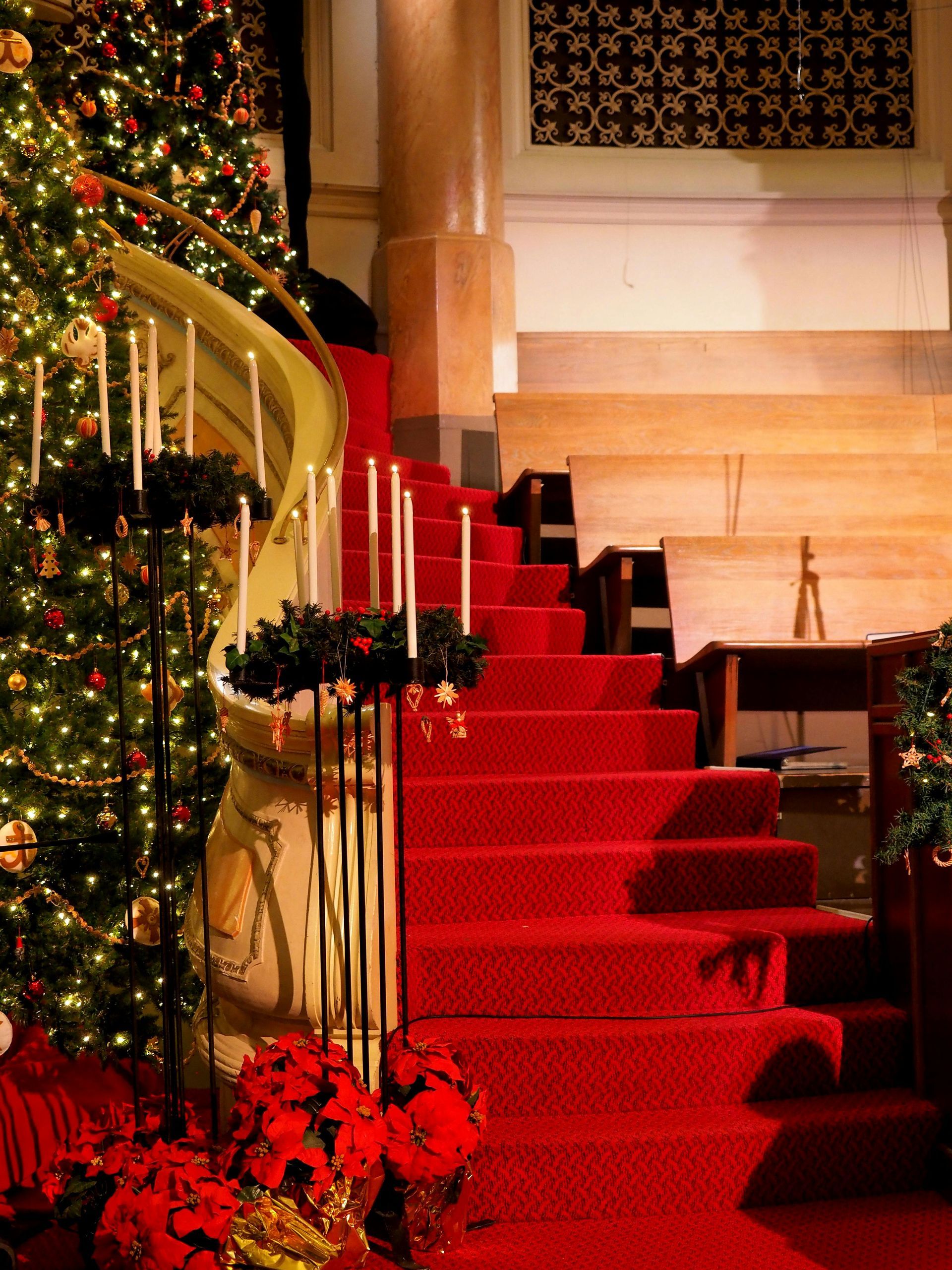 A red carpeted staircase with a christmas tree in the background