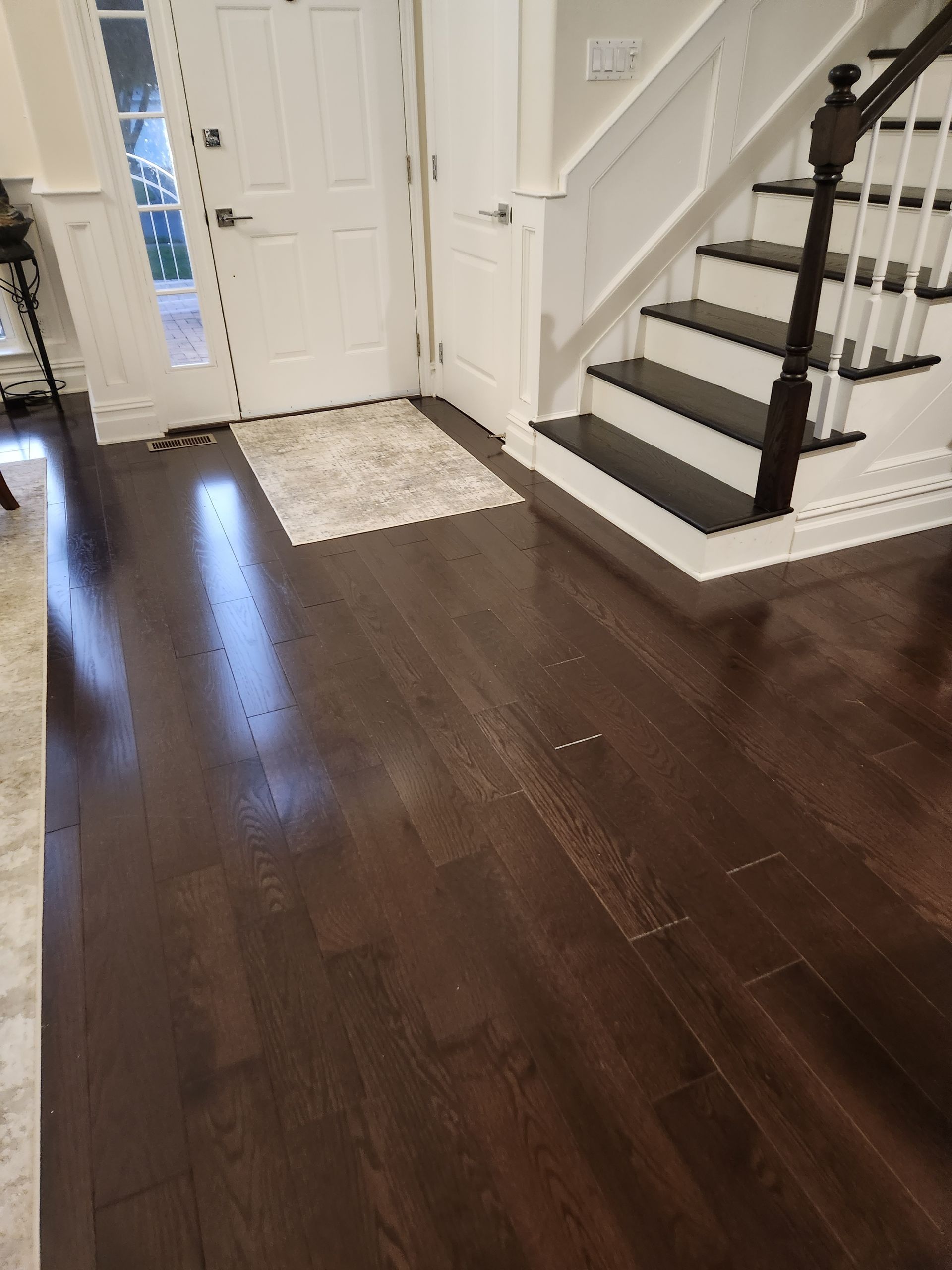 Dark wood floor with a white door, staircase, and rug in a home's entryway.