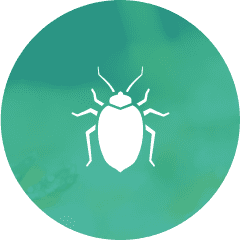 Bed bugs symbol
