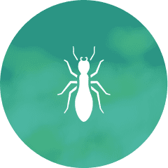 Symbol of termites
