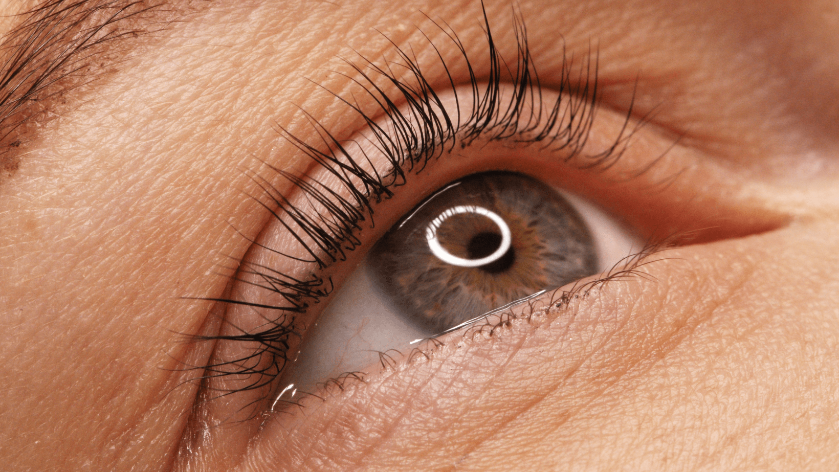 A Close-up Of a Woman's Eye with Long Eyelashes