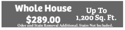 Residential Home Carpet Cleaning Specials
