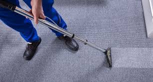 Professional cleaner using steam carpet cleaning