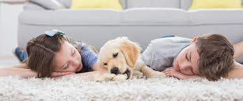 Pet Stain and Odor Removal kids laying on carpet cleaning