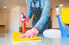 Area Rug Cleaning Services