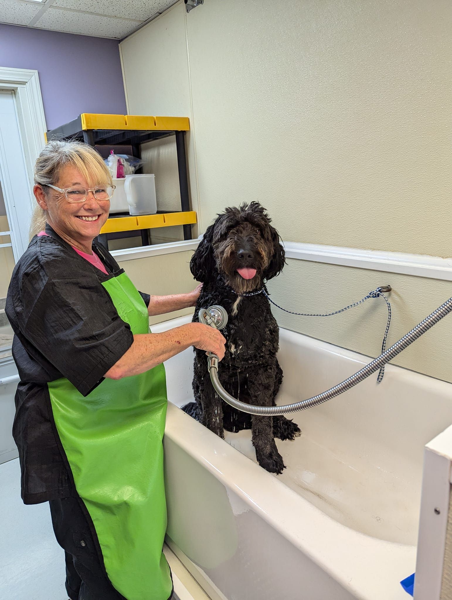 A woman is washing a dog in a bathtub.