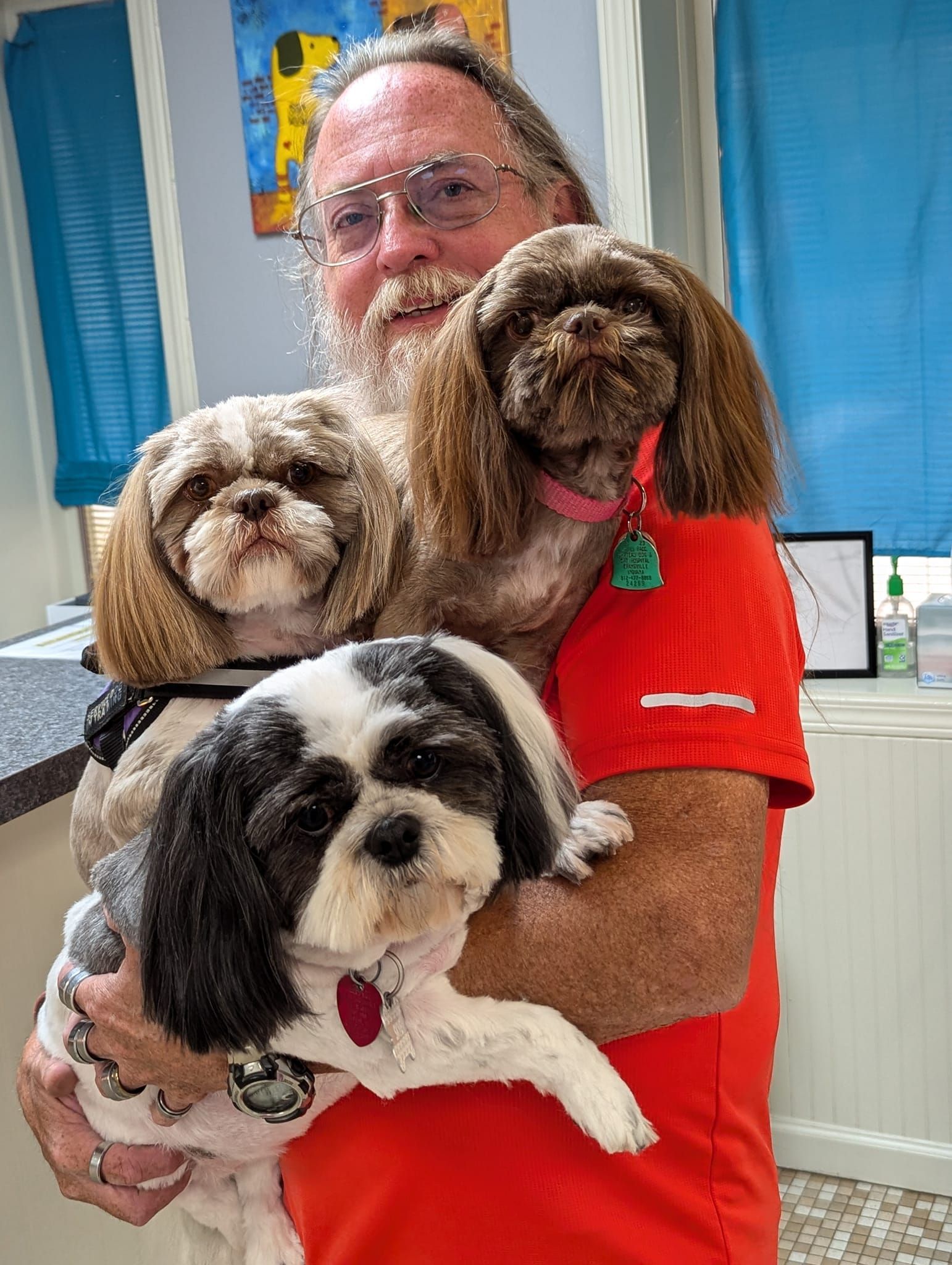 A man is holding three small dogs in his arms.